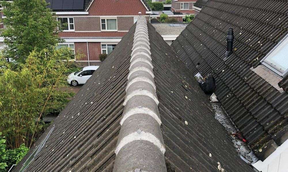 Repareren van nokvorsten in Dalfsen