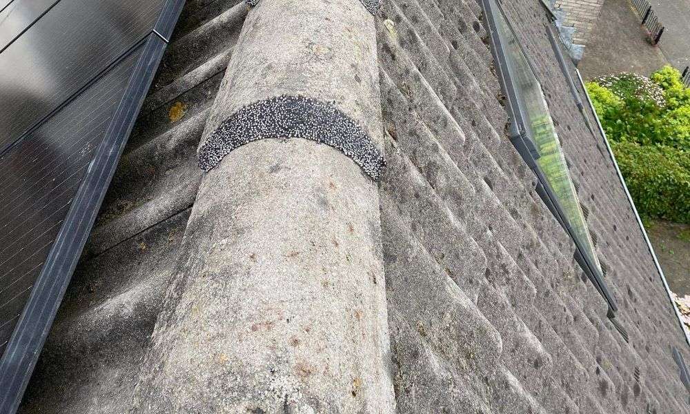 Vervangen van nokvorsten Dalfsen Nokvorsten zijn opnieuw vastgezet